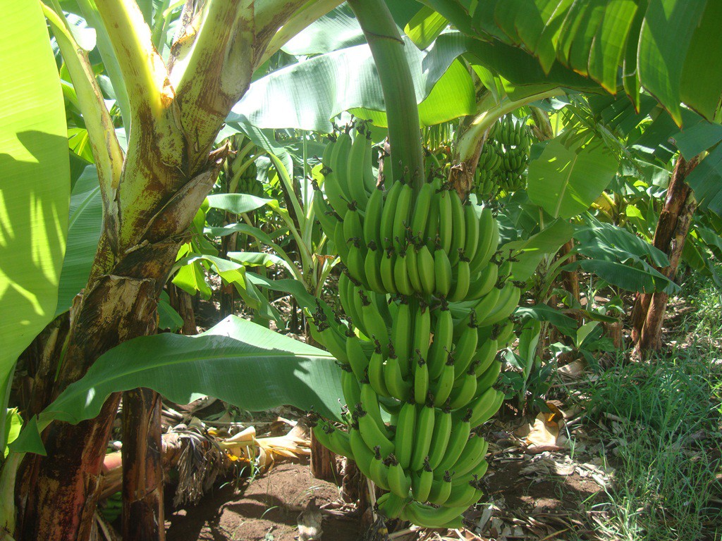 Other Projects