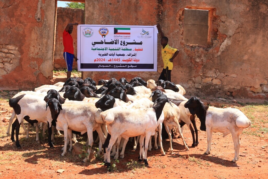 Distribution of sacrificial meat for the year 2024 donated by Ayat charity